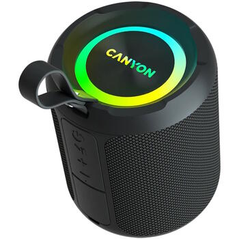 Портативная Bluetooth колонка мощностью 20 Вт с защитой от воды IPX6 TWS соединением и EQ + RGB подсветкой OnMove 11 Чёрная CNE-CBTSP11 CANYON (CNE-CBTSP11)