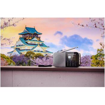 Sharp OSAKA карманное/портативное цифровое радио DR-P520(GY), 5,08 см, 12 ч, Bluetooth 5.3, DAB/DAB+/FM (DR-P520(GY))