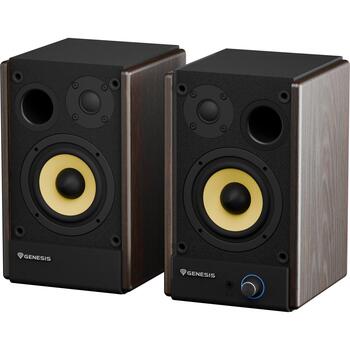 Genesis колонки Arsen 402BT NGS-2416, 60 Вт, 60 - 20000 Гц, 2.0 канала, Bluetooth 5.3, RCA, оптический, бронзовый (NGS-2416)