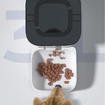 Sponge Automātiskā mājdzīvnieku barotava T-MLX59468, 3L, 5V, augstas kvalitātes kamera, nerūsējošais tērauds, Wi-Fi, balta (T-MLX59468)