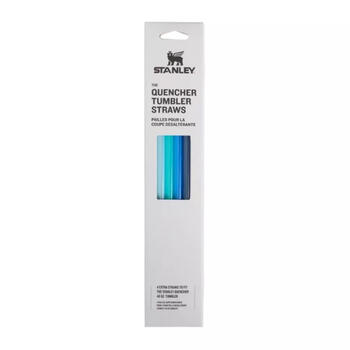Stanley® Salmiņu komplekts 4 gab. The Quencher Travel Tumbler Straws, 1,18L, zili, 2810573048 (2810573048)