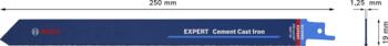 Zobenzāģiem EXPERT CEMENT CAST IRON S1750RD ASMENS, 2608900383 BOSCH (2608900383)