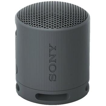 Sony Динамик SRS-XB100 КОД, 9.5см, 7.6см, 16ч, Bluetooth 5.3, Водонепроницаемый, Портативный, Аккумулятор (SRSXB100B.CE7)