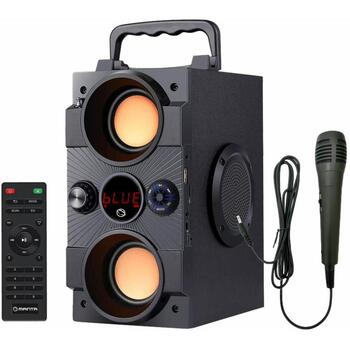 Manta Караоке колонка SPK8170000001, 16W, 10ч, FM радио, Bluetooth, USB-C, MicroSD, проводной микрофон (SPK8170000001)
