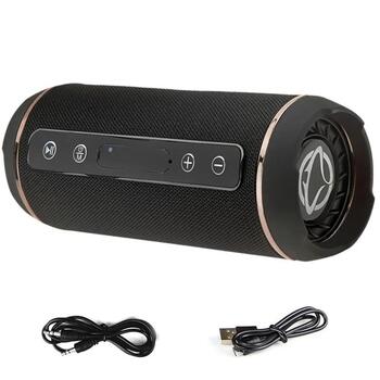 Manta Bluetooth колонка SPK13GO, 10W, 2x5W, Bluetooth V4.2, FM радио, USB, micro SD, микрофон (SPK13GO)