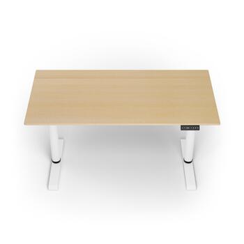 Arozzi Electric Standing Desk | Arena Nordico | Birch (ARENA-NRD-BCH)