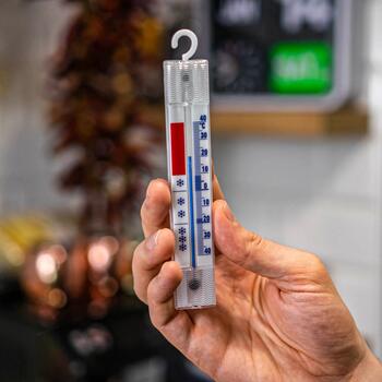 Bioterm 040400 термометр для холодильников и морозильников, от -40°C до +40°C, 15,5см, без ртути (040400)