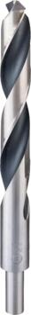 Urbis metālam PointTeQ 19 x 135 x 198 mm,1 gab., Urbjmašīnām/skrūvgriežiem POINTTEQ HSS SPIRĀLVEIDA URBIS, 2608577314 BOSCH (2608577314)