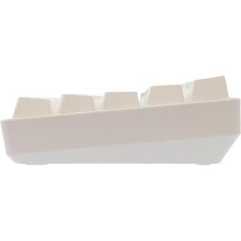 White Shark SHINOBI-2-W-US-BROWN.SW, механическая игровая клавиатура, 61 клавиша, раскладка US, USB, 1,8 м, RGB, белая (SHINOBI-2-W-US-BROWN.SW)