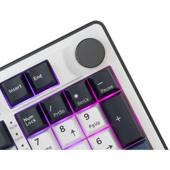 White Shark EXCALIBUR-W GK-007251 US, 97 клавиш, KTT Hot-Swap винные красные переключатели, 1.063кг, RGB подсветка (EXCALIBUR-W)