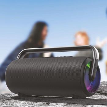 Manta Портативная Bluetooth колонка SPK325-BK, 80W, 10ч, Bluetooth 5.3, TWS, голосовой помощник, пауэрбанк (SPK325-BK)