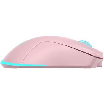 Baracuda TURTLE BGM-124 TURTLE-P, беспроводная мышь, 3200 DPI, 6 кнопок, 95 г, RF 2.4 ГГц, 125 Гц, розовая (TURTLE-P)