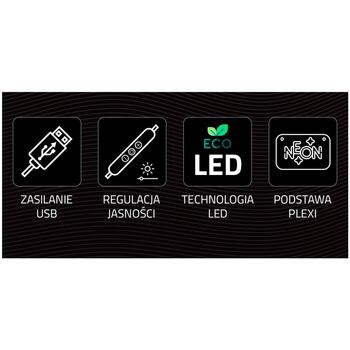 Manta Неоновые огни SNL96MT, 5W, 5V, 36x24см, многоцветный, органическое стекло, выключатель, регулятор яркости (SNL96MT)