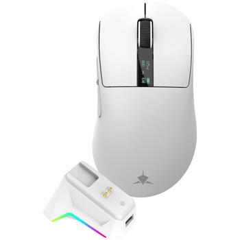 White Shark Мышь GAWAIN-W, 500mAh, 12000DPI, 56g, 5 кнопок, зарядка USB-C, Bluetooth 5.2, RF 2.4 GHz (GAWAIN-W)