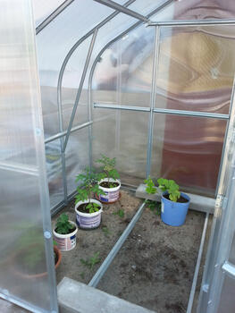 Теплица KLASIKA STANDART 5 - 2,5 x 2м - поликарбонат 6мм 4779037490523 KLASIKA GREENHOUSE (4779037490523)