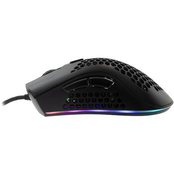 Baracuda CORAL-B BGM-031,l Black (CORAL-B)