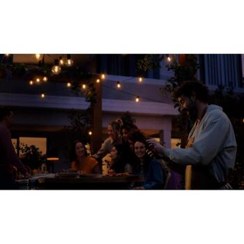 Philips Hue Festavia Globe умная уличная гирлянда 8720169371477, 7 м, 30 Вт, IP65, 500 лм, 1000-20000 K, Bluetooth, Zigbee (8720169371477)