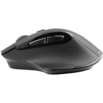Tracer Беспроводная мышь Cozy RF 2.4GHz TRAMYS46950, 10м, 6 кнопок, 800-1600 DPI, оптический сенсор, черный (TRAMYS46950)