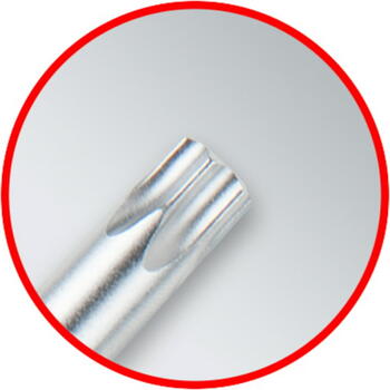 Kstools L-Torx набор ключей 151.4880, T8-T50, 10 шт, 0.35 кг (151.4880)