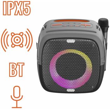 Manta Караоке колонка SPK3400000001, 100W, 10ч, IPX5, Bluetooth, AUX, Микрофон, USB, MicroSD, LED (SPK3400000001)