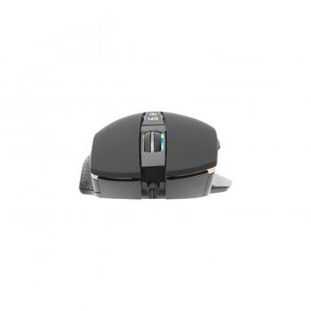 White Shark Мышь GARETH-B GM-5009, 1000-6400 DPI, 7 кнопок, 1.8 м, RGB 16.8 М цветов, USB (GARETH-B)