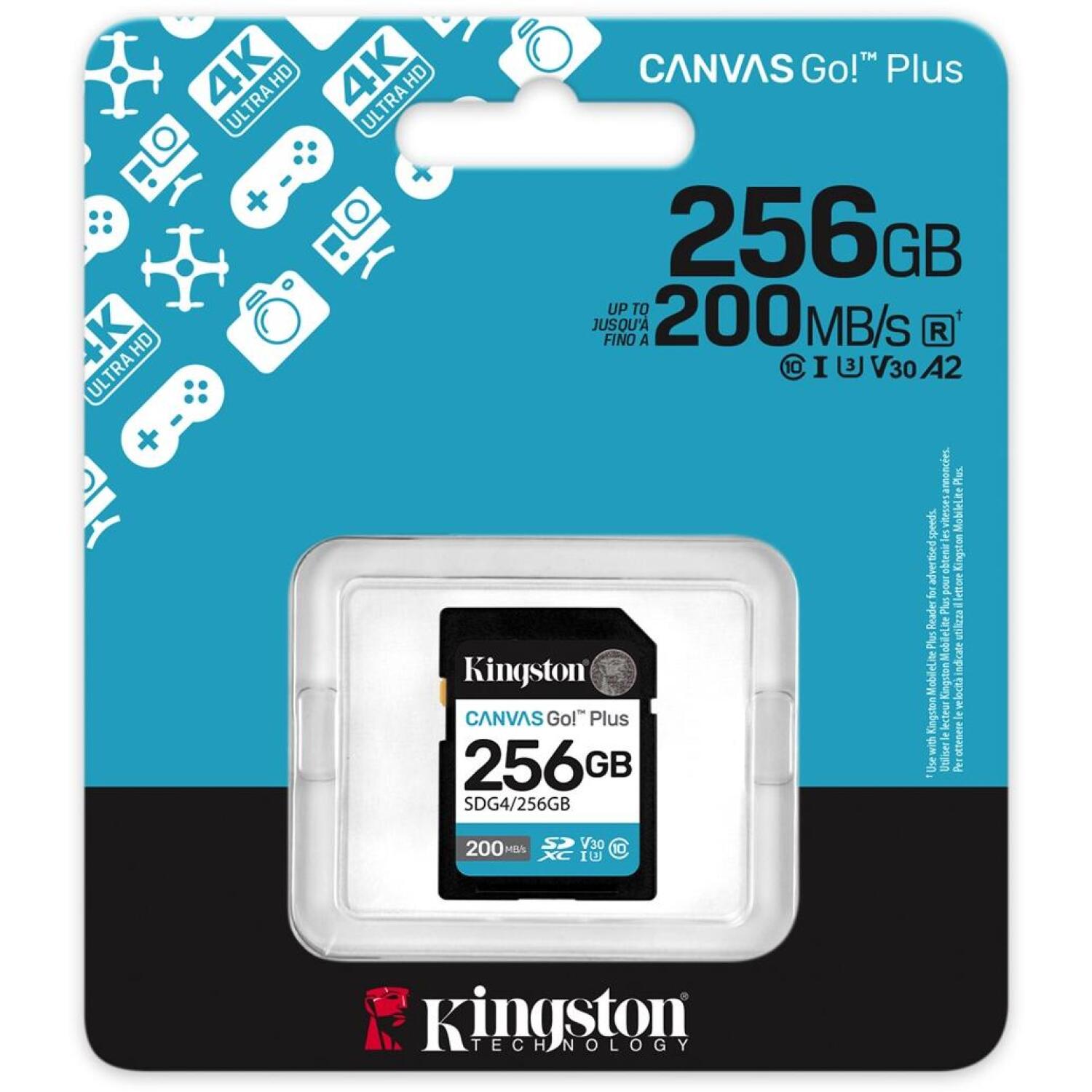 Kingston Корпус SDXC SDG4/256GB, 256 ГБ, 200 МБ/с, C10, UHS-I, U3, V30 (SDG4/256GB)