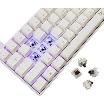 White Shark SHINOBI-2-W-US-BROWN.SW, механическая игровая клавиатура, 61 клавиша, раскладка US, USB, 1,8 м, RGB, белая (SHINOBI-2-W-US-BROWN.SW)