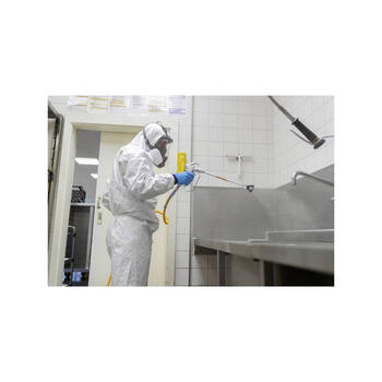 Universāls krāsošanas ierīce - pulverizators W590 FLEXIO 2361538 WAGNER (2361538)