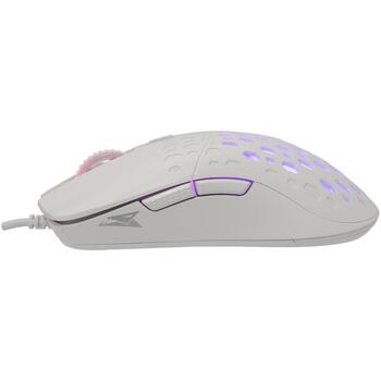 Baracuda OCTOPUS BGM-022, White (OCTOPUS)