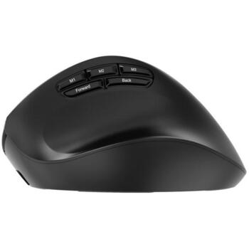 Gembird MUSW3-9B-01 bezvadu ergonomiska pele, 2400 DPI, 9 pogas, 2.4G+BT+USB, melna (MUSW3-9B-01)