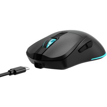 Baracuda Мышь TURTLE-B BGM-121, 3200 DPI, 6 кнопок, 95 г, RF 2.4 GHz, подсветка, для правой руки (TURTLE-B)