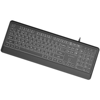 Gembird клавиатура KB-UML-04-CYRL, 1.8м, USB A+C, белая подсветка, 12 мультимедийных клавиш (KB-UML-04-CYRL)