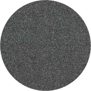Slīpp.akmenim leņķa slīpm D 125 mm, K 60, 10 gab., Mazām leņķa slīpmašīnām PRO F355 SLĪPLOKSNE, 2608606755, BOSCH (2608606755)