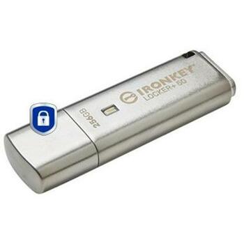 Kingston USB флеш-накопитель IKLP50/256GB, 256 ГБ, USB 3.2 Gen 1, Скорость чтения 145 МБ/с, Скорость записи 115 МБ/с (IKLP50/256GB)
