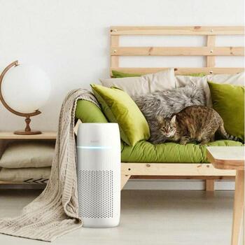 Homedics Очиститель воздуха AP-PET35WT-EU, 81м², 3 скорости, HEPA, угольный фильтр, предварительный фильтр, ионизатор, таймер (AP-PET35WT-EU)
