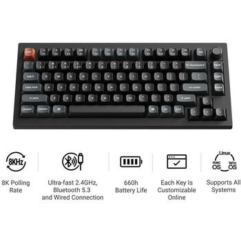 Keychron V1 Ultra 8K bezvadu mehāniskā klaviatūra 75% 2.4GHz Bluetooth 5.3 USB-C 8000Hz Hot-Swap RGB melna V1U-D1 (V1U-D1)