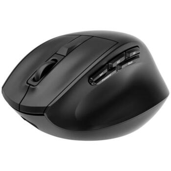 Gembird MUSW3-9B-01 bezvadu ergonomiska pele, 2400 DPI, 9 pogas, 2.4G+BT+USB, melna (MUSW3-9B-01)