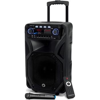 Manta Караоке колонка SPK5021PRO, 80 W, 12 дюймов, 2x входа для микрофона, Bluetooth, FM радио, 5 ч воспроизведения (SPK5021PRO)