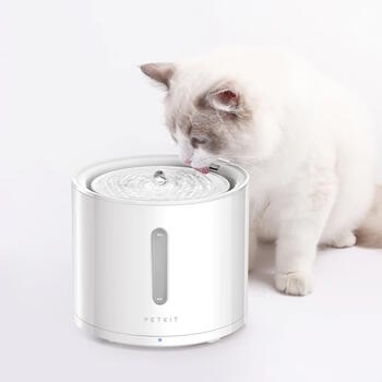 Viedā mājdzīvnieku dzirdinātava ar filtrācijas sistēmu un 2 L ietilpību Eversweet Solo 2 Balts P4114 PETKIT (P4114)