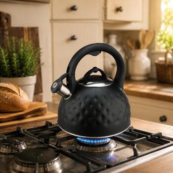 Brock MWK 003 BK чайник, 2,5 л, 3 л, нержавеющая сталь, черный, для индукции, со свистком (MWK 003 BK)