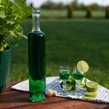 Browin stikla pudele Marina 631703, 500ml, korķa aizbāznis, dekoratīva (631703)