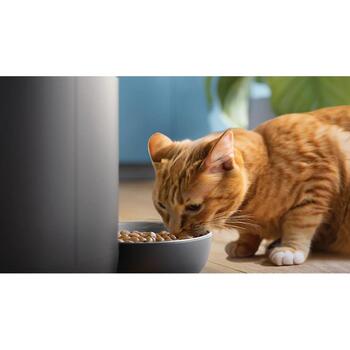 Philips Viedā barotava ar kameru PAW5320/02, 4,5 L, akumulators, Wi-Fi, kamera, grafiks, privātuma režīms (PAW5320/02)