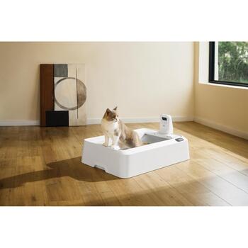 Petkit Purobot Crystal Duo с камерой, P9905, 5.65кг, 0.07м3, AI камера, самоочистка, двустороннее сгребание (P9905)