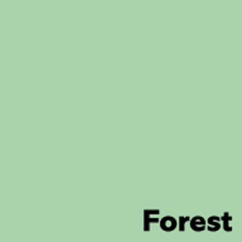 Krāsains papīrs IMAGE COLORACTION, A4, 160 gsm, 50 loksnes, FOREST / pastel green (100-00051)
