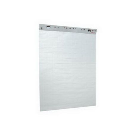 Papīra bloks ESSELTE, 59 x 84 cm, 50 lapas, pelēka/rūtiņu (100-00302)
