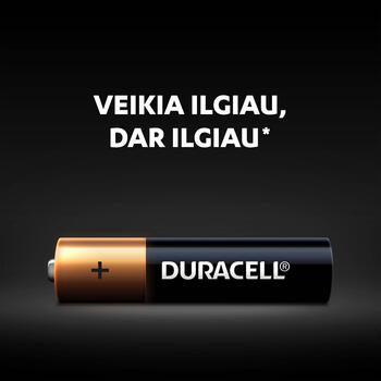 Baterija DURACELL Basic AAA, LR03 2 gab./iepak. (250-00399)