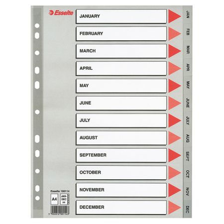 Sadalītājs dokumentiem Esselte A4 formāts, Jan.-Dec., plastikāta (150-00249)