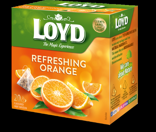 Augļu tēja LOYD Pyramids Fresh Orange, 20x2,2 g (450-11633)