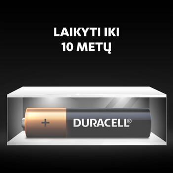 Baterija DURACELL Basic AAA, LR03 2 gab./iepak. (250-00399)