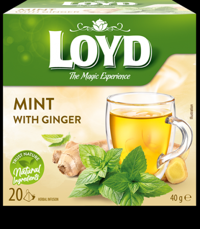Tēja LOYD, piparmētru un ingvera garša, 20 x 2g (450-25731)